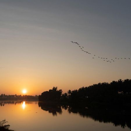 Stayvista At Golden Triangle Kabini With Bonfire, River View & Comp Beakfast Hampāpura 외부 사진