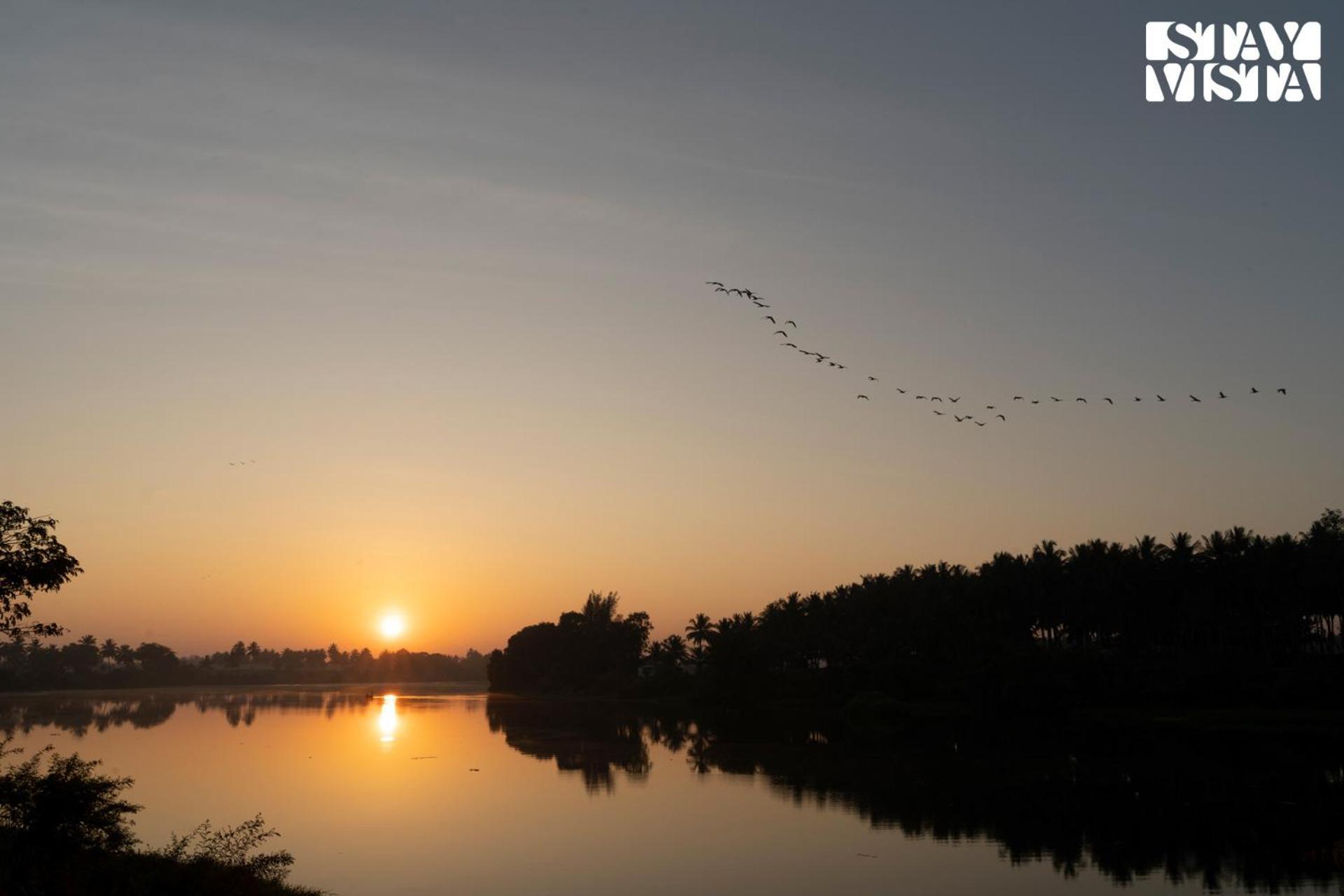 Stayvista At Golden Triangle Kabini With Bonfire, River View & Comp Beakfast Hampāpura 외부 사진